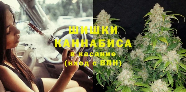 прущие грибы Абдулино