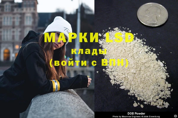a pvp Алзамай