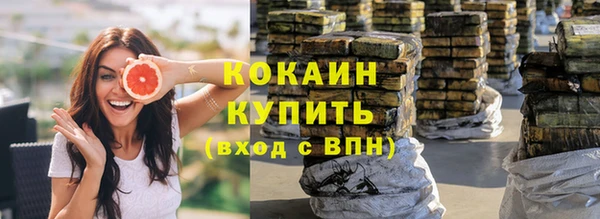 a pvp Алзамай