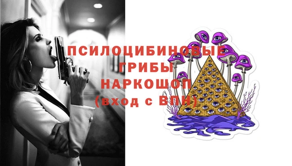 a pvp Алзамай