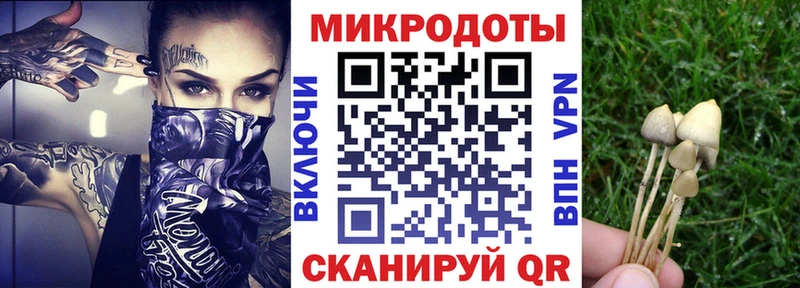 kraken   Грязи  Псилоцибиновые грибы MAGIC MUSHROOMS 