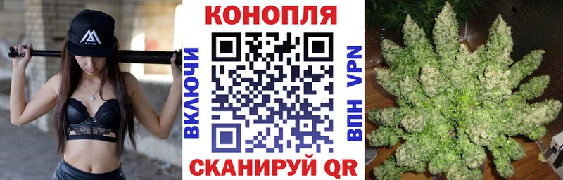 Шишки марихуана SATIVA & INDICA  Грязи 